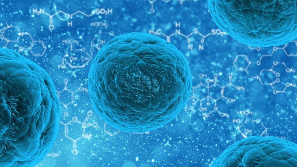 stem-cell-163711[1]
